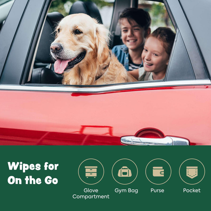 Dog Wipes for Cleaning and Deodorizing - 50 8.5" x 9" Bamboo Pet Wipes - Compostable, Hypoallergenic Puppy Wipes - Dog Wipes for Paws, Butt, and Body 50 Wipes (1 Pack of 50) - PawsPlanet Australia