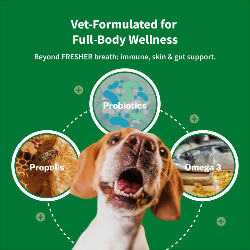 My Daily Dental Chews (50 Count) – Daily Dental & Wellness Treat for Dogs – Fresh Breath, Plaque Control, Gut + Immune Support, Skin & Coat Care – Vet-Formulated, Made in Korea, 13 g per Stick