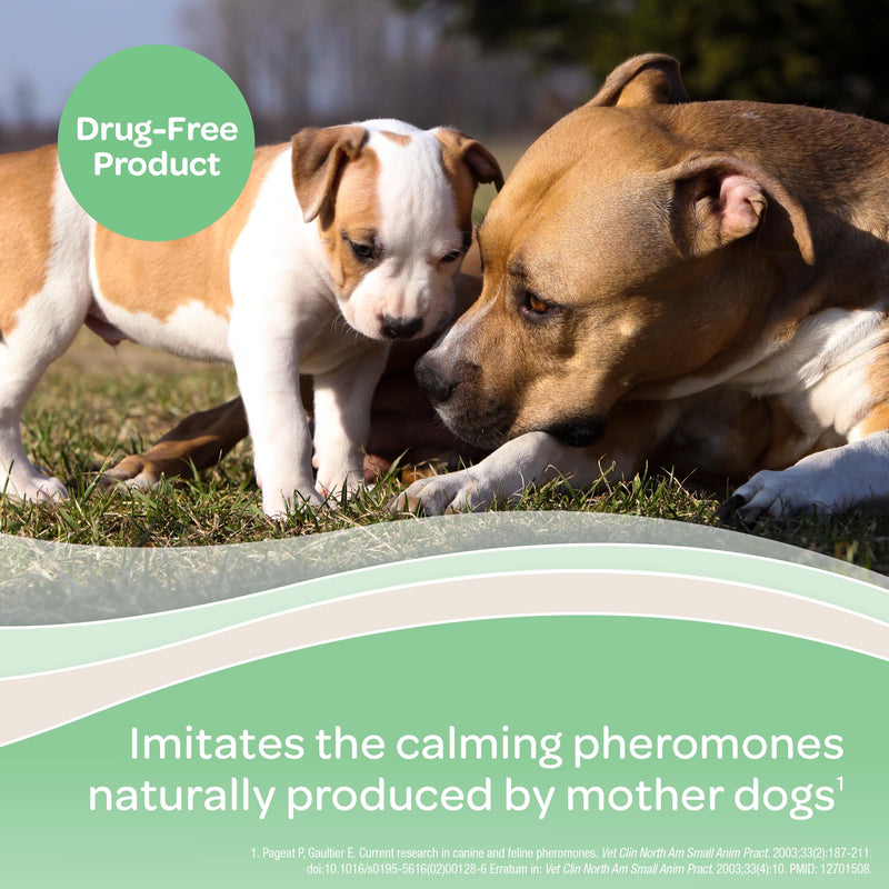 Virbac ZENIDOG Gel Diffuser - Dog Calming Pheromone Diffuser for Stress Relief No Electricity Required and Lasts up to 2 Months - PawsPlanet Australia