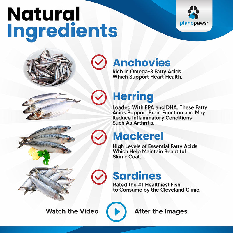 Omega 3 Fish Oil for Cats - Better Than Salmon Oil for Cats - Kitten + Cat Vitamins and Supplements - Cat Health Supplies - Cat Dandruff Treatment - Liquid Fish Oil for Pets - Cat Shedding Products - PawsPlanet Australia
