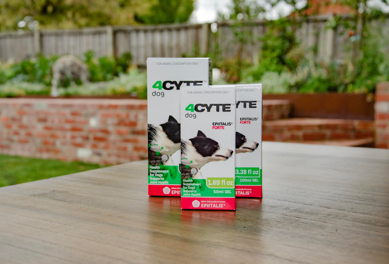 4CYTE Epiitalis Forte Dog Joint Supplement Gel – Mobility, Flexibility & Cartilage Support 50 ml