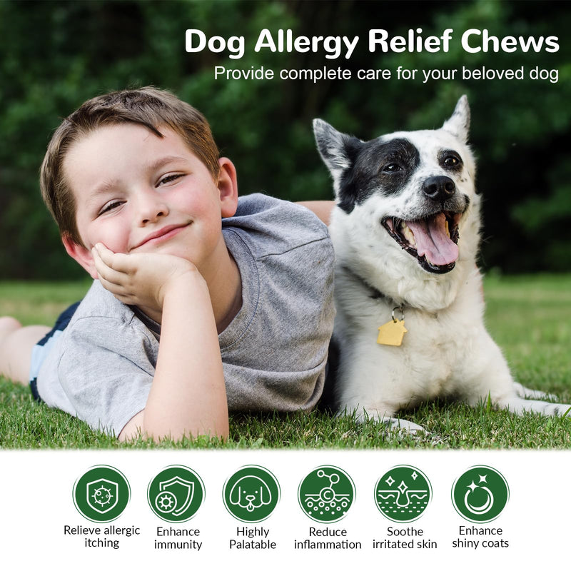 Dog Allergy Chews 150ct, Dog Itch Relief Chews for Large Dogs Paw Licking Itchy Skin Seasonal Allergies, Probiotics with Omega-3 Turmeric Astragalus for Coat Immune Supplement Chicken 150 Chews