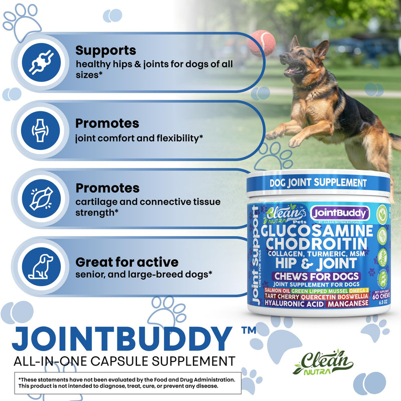 JointBuddy Glucosamine Chondroitin Joint Supplement for Dogs Salmon Oil MSM Tart Cherry Omega 3 6 9 Fish Oil Hyaluronic Acid Supplements & Collagen for Dogs 60 Chews Beef Flavor by Clean Nutra Pets