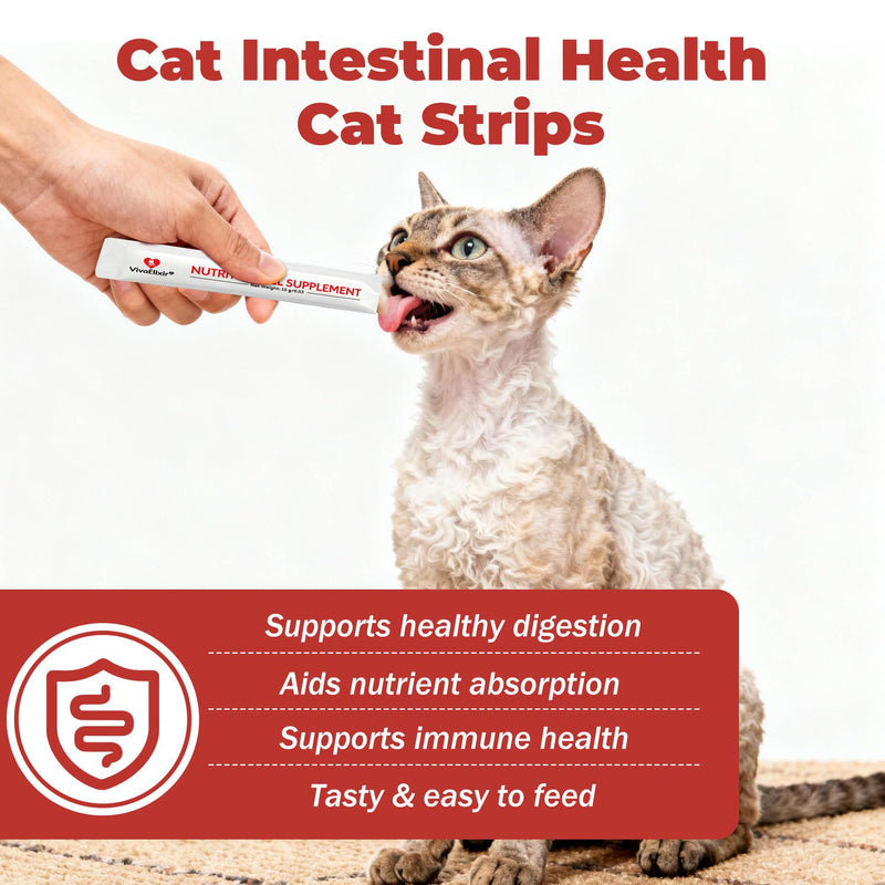 Probiotics for Cats & Digestive Support Gel – Cat Probiotic with Prebiotics, Taurine & Papain – Supports Gut Balance, Digestive Support & Immune Health – for Kittens & Adult Cats, Constipation Relief