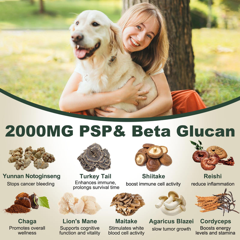 Yunnan Sanqi Capsules for Dogs, Support Stop Bleeding, Hemangiosarcoma, Hemoabdomen, Pericardial Effusion, Cancer Bleeding, Severe Bruising, Ulcer-Related Bleeding, 90 Capsules