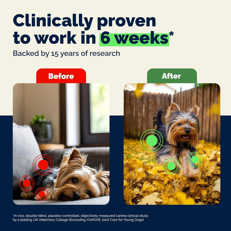 YuMOVE Daily Chews | Hip and Joint Supplement for Small & Medium Dogs with Glucosamine, Hyaluronic Acid, Green Lipped Mussel | 60 Chews - 1 Month's Supply - NewNest Australia