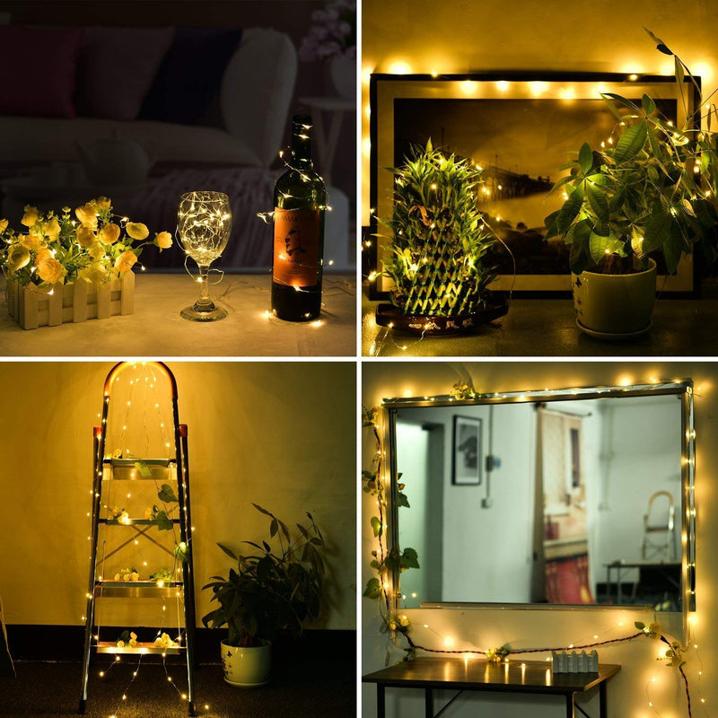 ANJAYLIA LED Fairy String Lights, 10Ft/3M 30leds Firefly String Lights Garden Home Party Wedding Festival Decorations Crafting Battery Operated Lights, Warm White Warm White 1 Pack 30 LED
