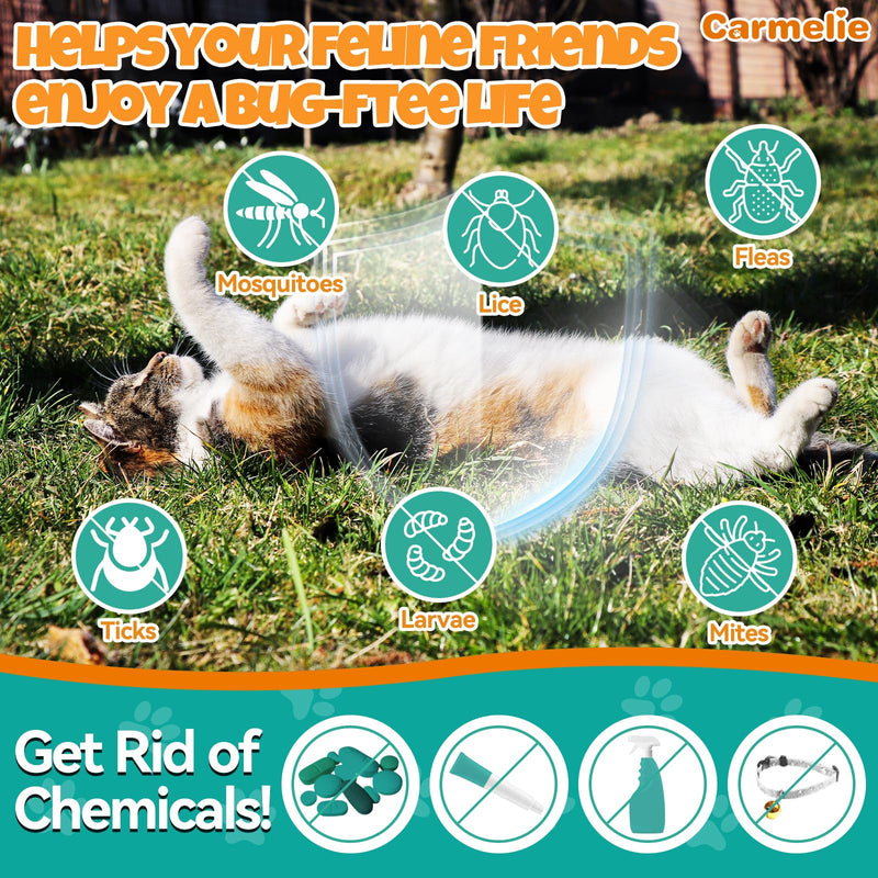 Flea and Tick Support Bundle for Dogs and Cats – Oral Flea Drops for Cats + Flea Drops for Dogs – Natural Flea Prevention for All Breeds & Ages