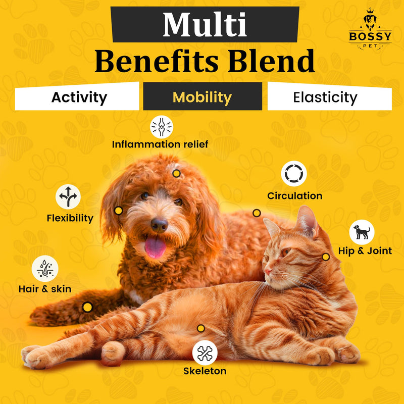 Liquid Glucosamine for Dogs & Cats - Advance Joint Support Supplement - Supplement with Chondroitin, MSM, Hyaluronic Acid, Biotin, Collagen Peptides & Taurine - Max Potency