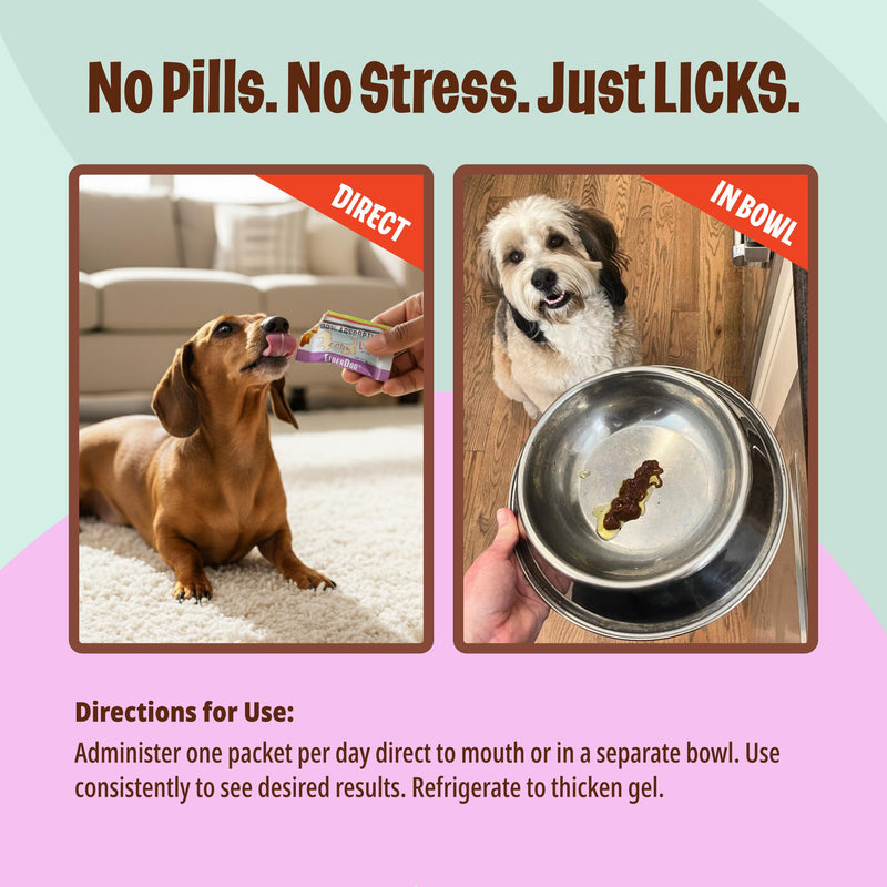 Licks Elder Dog - Mobility, Digestion & Immune Support for Senior Dogs - Omega-3 Fish Oil, CoQ10, Green Lipped Mussel & L-Carnitine - Pill-Free Gel Packets - 10 Packets