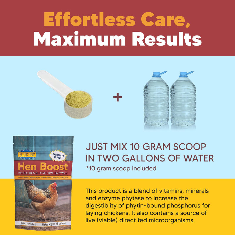 Flock PRO Hen Boost - Digestive Supplement for Hens | Chicken Vitamins and Supplements | Probiotics, Digestive Enzymes, Electrolytes for Adult Poultry-8 OZ 1 Count (Pack of 1) - PawsPlanet Australia
