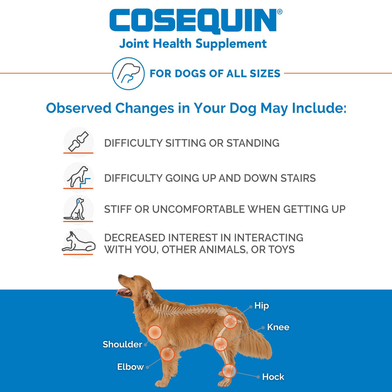 Nutramax Cosequin Maximum Strength Joint Health Supplement for Dogs - With Glucosamine, Chondroitin, MSM, and Hyaluronic Acid, 75 Chewable Tablets - PawsPlanet Australia