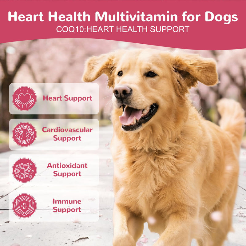 Heart Support Supplement for Dogs, Taurine for Senior & Puppy Dogs, Dog Multivitamin with CoQ10 & L-Carnitine for Heart, Cardiovascular & Antioxidant Support - 200ct Chicken 200 Chews