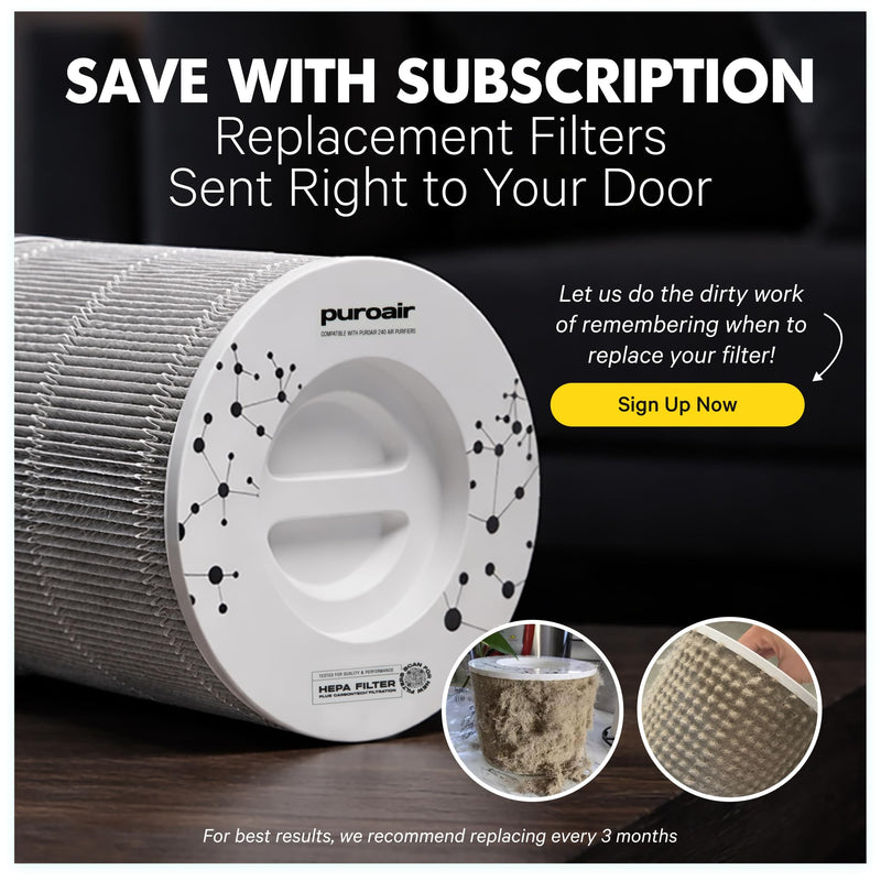 PuroAir 240 Replacement Filter - Genuine 240 Filter Replacement (1PK) 1 Pack