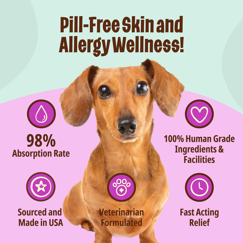 Licks Elder Dog - Mobility, Digestion & Immune Support for Senior Dogs - Omega-3 Fish Oil, CoQ10, Green Lipped Mussel & L-Carnitine - Pill-Free Gel Packets - 10 Packets