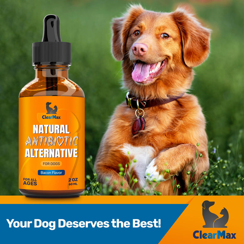 Natural Antibiotics for Dogs ◆ Dog Antibiotic ◆ Antibiotics for Dogs ◆ Dog Multivitamin ◆ Pet Antibiotic ◆ Dog Antibiotics ◆ Antibiotic for Dogs ◆ 2 Oz Bacon 2 Fl Oz