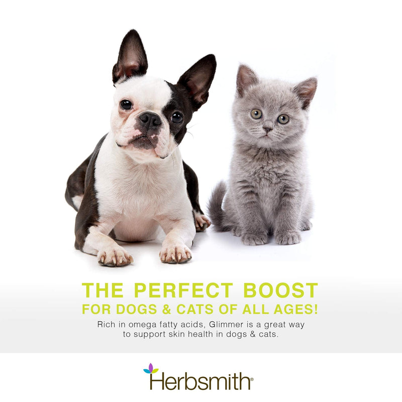 Herbsmith Glimmer - Dog Healthy Skin and Coat + Dog Treatment for Dry Itchy Skin - Omega-3 Supplement for Dogs - 60ct Small Chews 60Ct Small Chews (for dogs under 30Lbs) - PawsPlanet Australia