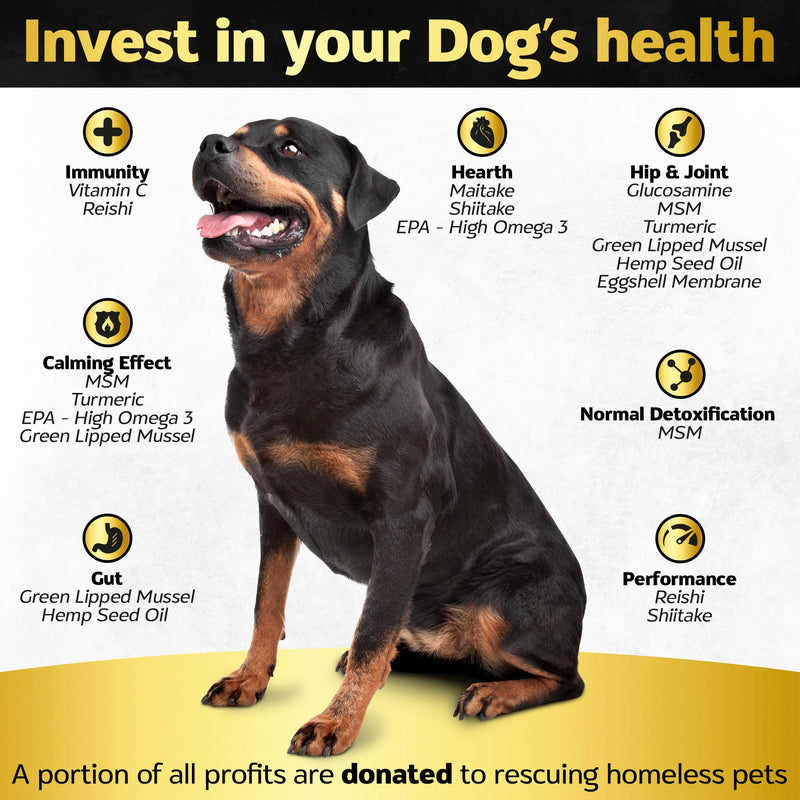 Soft Chews Hip and Joint Supplement for Dogs - Dog Joint Pain Relief Treats - Glucosamine, Chondroitin, Turmeric- Mobility Bites Supplement Hip and Joint Max Strength Bacon - 30 Soft Chews - PawsPlanet Australia