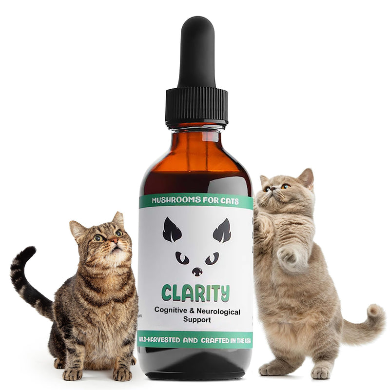 MycoCat Clarity - Cat Calming & Cognitive Support Supplement with Functional Mushrooms & Adaptogens - Brain Health, & Senior Feline Wellness - for Memory & Focus - 2 oz