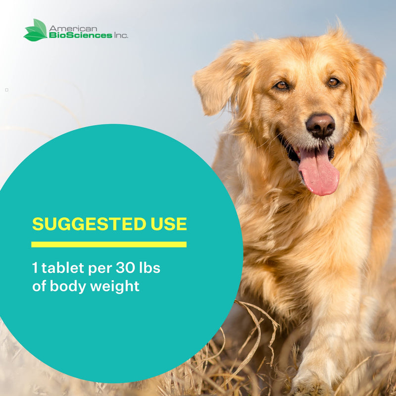 DGP 2-Pack, All-Natural Joint Supplement for Dogs - Joint Support with Turmeric, Boswellia Extract & More - Quick Effect for Immediate Mobility Support - 60 Chewable Pet Tablets - PawsPlanet Australia