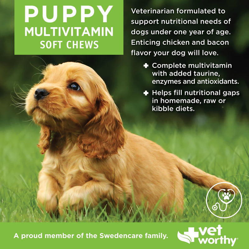 Vet Worthy Puppy Multi Soft Chews - Daily Multivitamin for Dogs - Supports Healthy Growth & Development - Chewable Puppy Multivitamin for Energy Boost and Immunity - Multi Vitamins for Dogs - 60 Count