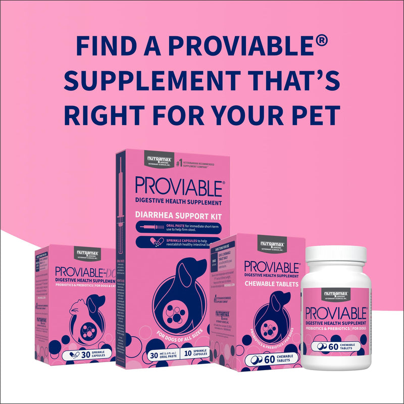 Nutramax Proviable Probiotics for Dogs, Daily Digestive Health Supplement with Multiple Strains of Bacteria, Dog Probiotics Plus Prebiotics, 60 Chewable Tablets 60 Count (Pack of 1)