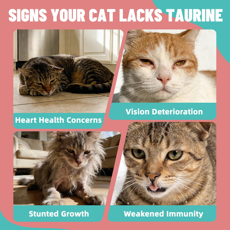 Just Try 3.38 fl oz Taurine & L-Lysine Supplement for Cats - Vitamins & Taurine for Immune Support & Allergy Relief - Lysine for Sneezing, Runny Nose and Watery Eyes - 100ML Chicken Flavor