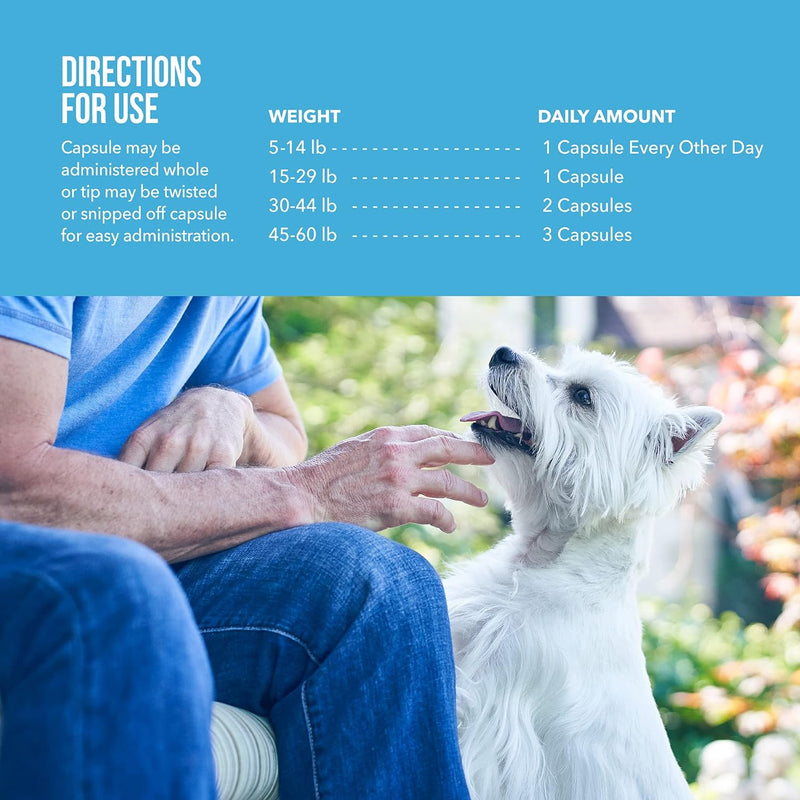 Omega 3 Fish Oil for Dogs, 1250mg High Natural Omega-3, DHA, EPA Fish Oil Supplements for Pets, Supports Dog Dry Skin, Itching & Shedding - Strengthen Immune, Heart, Hip & Joint Health - 60 Counts - PawsPlanet Australia