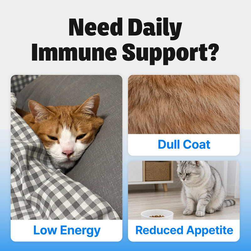 Cat Immune Multivitamin Supplement – 9 in 1 Lickable for Immune Support, with Probiotics, Omega-3, Vitamins & Beta-Glucan – Daily Immunity Support for Cats, Chicken Flavor with Goat Milk, 30 Tubes