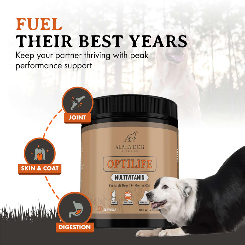 OptiLife Dog Multivitamin Powder - Adult Dog Multivitamin with Probiotics, Allergy Support, Joint Support, Skin & Coat Support - Dog Vitamins and Supplements - Multivitamin for Dogs (30 Servings) 30 Servings - PawsPlanet Australia