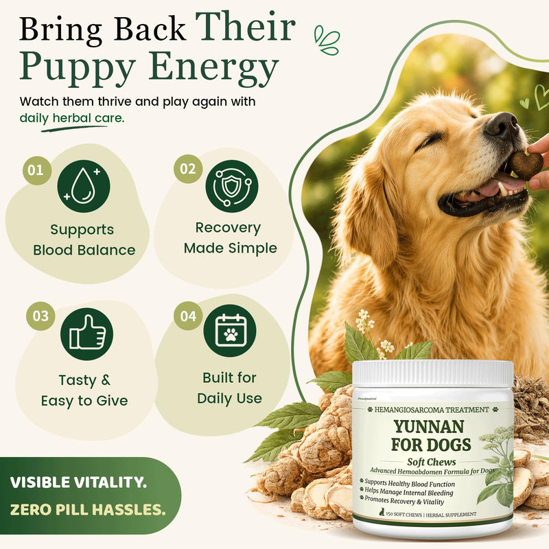 Herbal Yunnan Sanqi Soft Chews for Dogs, Stop Bleeding & Blood Builder for Hemangiosarcoma, Hemoabdomen, Cancer Bleeding, Kidney - Safe Daily Support for Long - Term Care, Boosts Vitality&Energy-150ct