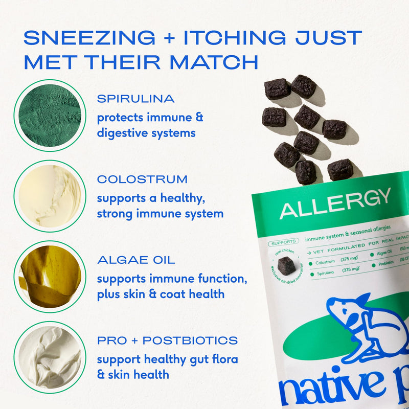 Native Pet Allergy Chews for Dogs (30 Air-Dried Chews) & Daily Dog Vitamins & Supplements (7 Oz.) - Itching Relief for Dogs & 11-in-1 Multivitamin with 21 Supplements & Vitamins