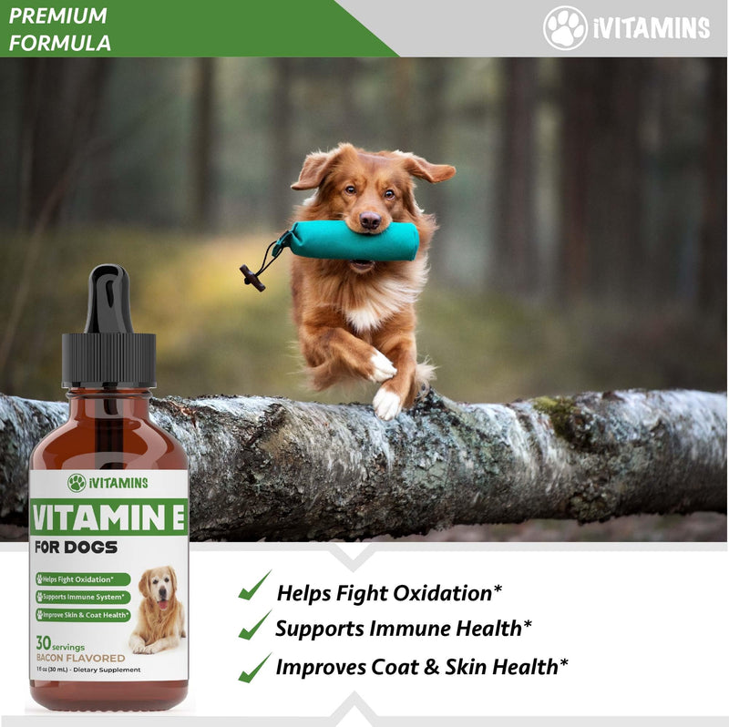 Vitamin E for Dogs | Vitamin E Dog | Vitamin E for Dog | Dog Vitamins E | Vitamin E Canine | Vitamin E Supplement for Dogs | Vitamin E Oil Dog | Dog Vitamins | Dog Immune Support | 1 fl oz - PawsPlanet Australia