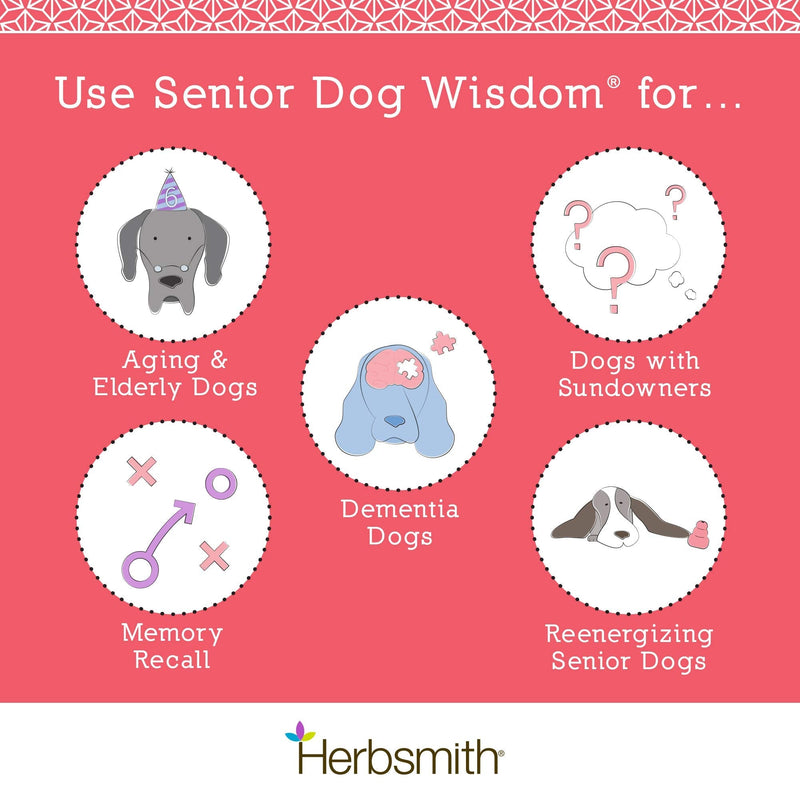 Herbsmith Senior Dog Wisdom – Dog Dementia Supplement – DHA for Senior Dog Brain Health - Senior Supplement for Dogs- 60ct Small Chews 60ct Small Chews (For Dogs Under 30lbs) - PawsPlanet Australia