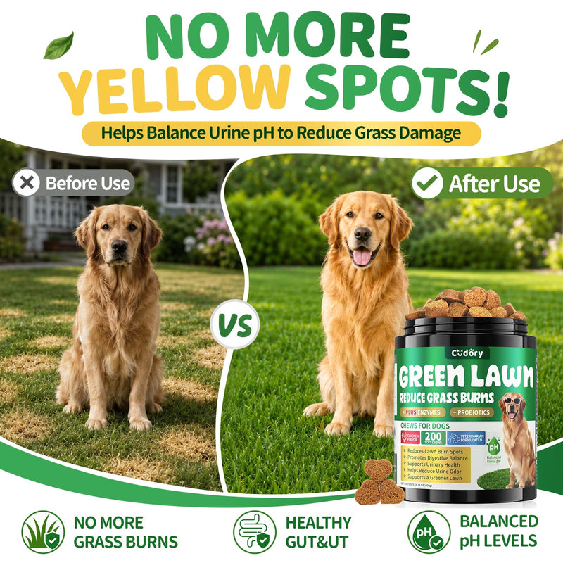 Dog Urine Neutralizer for Lawn - Green Grass Chews for Dogs, 200 Chew Female Pee Grass Burn Spot by Dog Urine, Gut Health Probiotics & Enzymes, Helps Yard Stay Green, with Cranberry for Urinary Tract