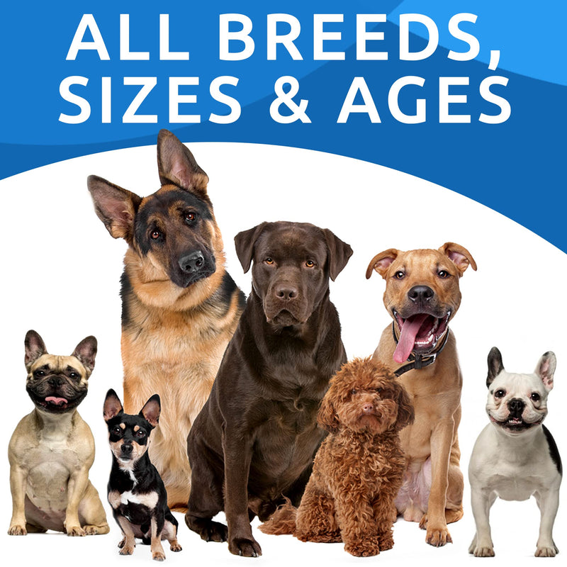 Allergy Relief + Omega 3 for Dogs - Oil Treats for Dog Shedding, Skin Allergy, Itch Relief, Dry Skin & Hot Spots Treatment, Joint Health - Skin and Coat Supplement - EPA & DHA Fatty Acids - PawsPlanet Australia