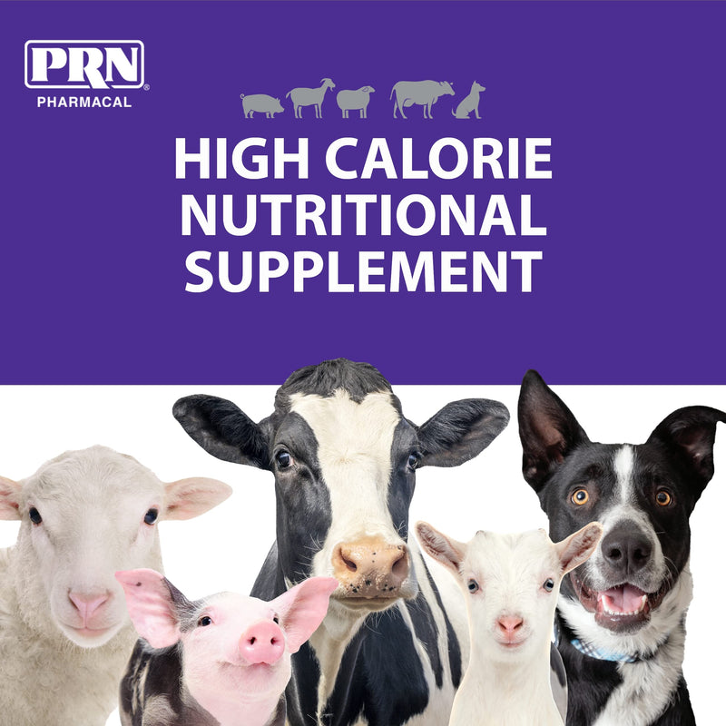 PRN Pharmacal STAT - High Calorie Nutritional Supplement to Help Restore Hydration & Nutrition Levels in Animals - Vanilla Flavored Dietary Support with Vitamin A, D3, C, E, & More - 16 Fl Oz - PawsPlanet Australia
