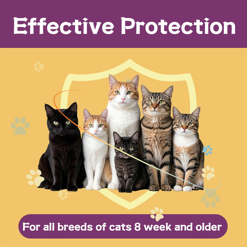 Flea and Tick Prevention for Cats, Flea and Tick Treatment for Cat Kitten, Flea & Tick Control, Over 1.5 Pounds, 6 Doses cat-6 Doses