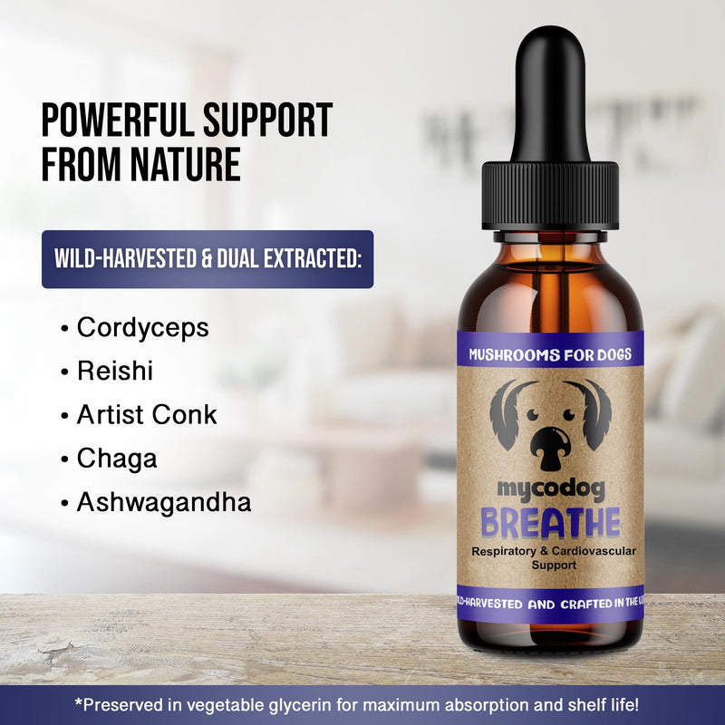MycoDog Breathe - Respiratory Support Supplement for Dogs - Breathing Comfort & Airway Health - French Bulldogs, Pugs, & Flat-Faced Breeds - Natural Mushroom and Ashwagandha Drops - 1 oz