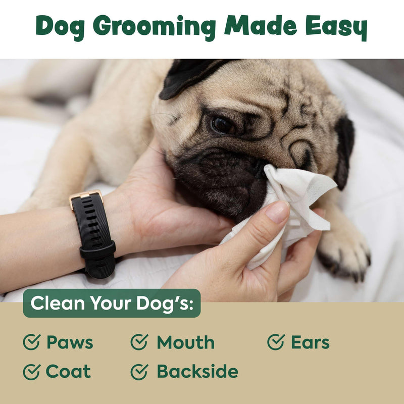 Dog Wipes for Cleaning and Deodorizing - 50 8.5" x 9" Bamboo Pet Wipes - Compostable, Hypoallergenic Puppy Wipes - Dog Wipes for Paws, Butt, and Body 50 Wipes (1 Pack of 50) - PawsPlanet Australia