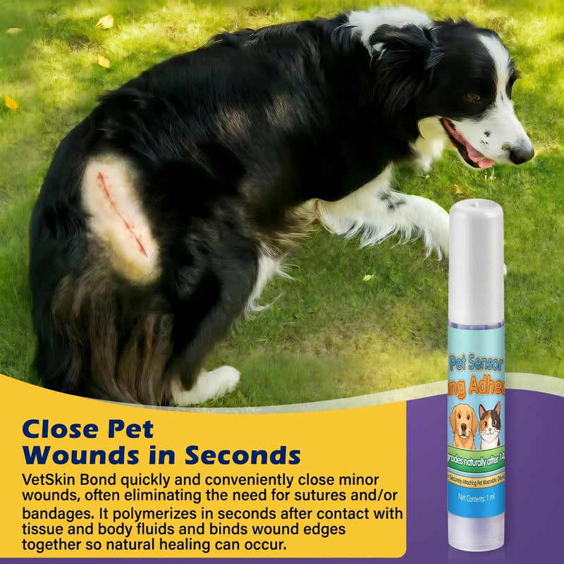 1ml Veterinary Surgical Skin Glue with 10 Applicators, Fast Acting Wound Tissue Glue Sealant, CGM Sensor Adhesive for Pet with Blue Tint for Precise Application, Stay Secure for 10-14 Days 1ml