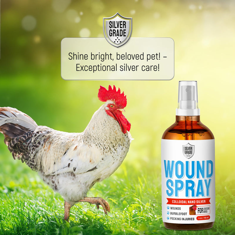 SILVER GRADE Wound Spray for Chicken – Birds & Chicken Antibiotics Alternative to Help with Pecking Sores, Bumblefoot, Cuts – Poultry Spray with Silver – GMOs Free – 4-Oz Bottle 4 Fl Oz