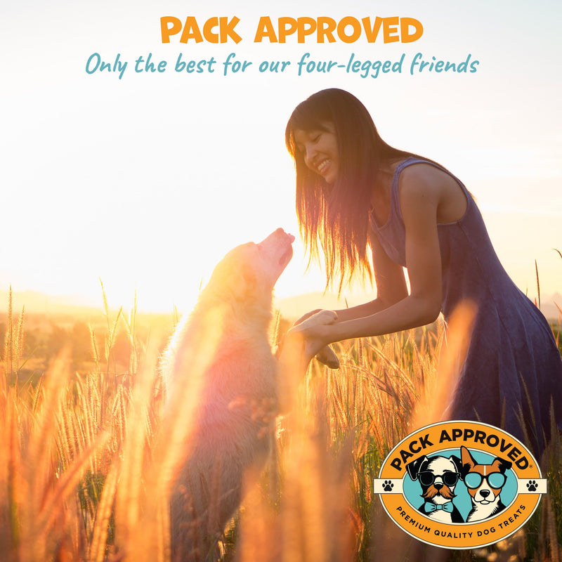 Pack Approved Cat & Dog Ear Cleaning Solution - Helps Remove Wax, Debris, and Dirt - Non-Stinging, Non-Burning Daily Use Formula - Cat & Dog Ear Wash for Itchy Ears - Cucumber Melon Scent (8oz)