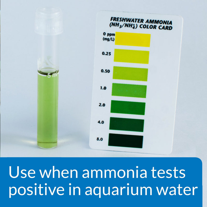 API AMMO-LOCK Freshwater and Saltwater Aquarium Ammonia Detoxifier 8-Ounce Bottle (45D)