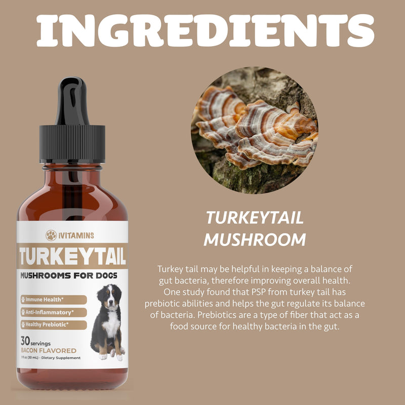 Turkey Tail Mushroom for Dogs | Helps to Boost The Immune System, is a Healthy Prebiotic, & Much More | Turkey Tail for Dogs | Mushrooms for Dogs | Dog Mushroom Supplements | 1 fl oz