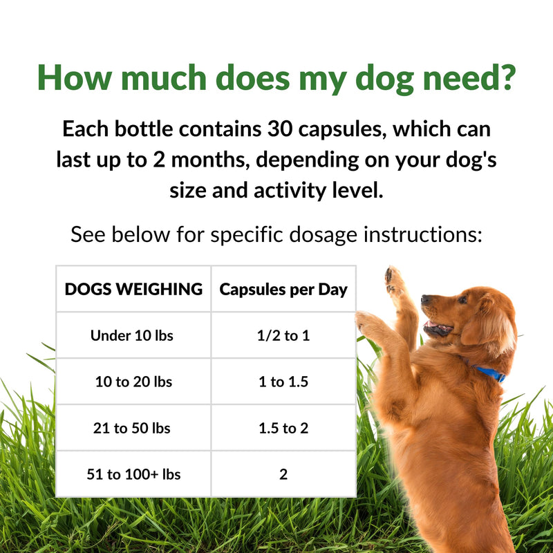 Mara Labs BarkElite for Dogs | Stabilized Sulforaphane & Bio-Enhanced Curcumin 50/50 Blend | Veterinarian Formulated | Supports Joint Mobility, Enhanced Energy and General Well-Being | 30 Capsules