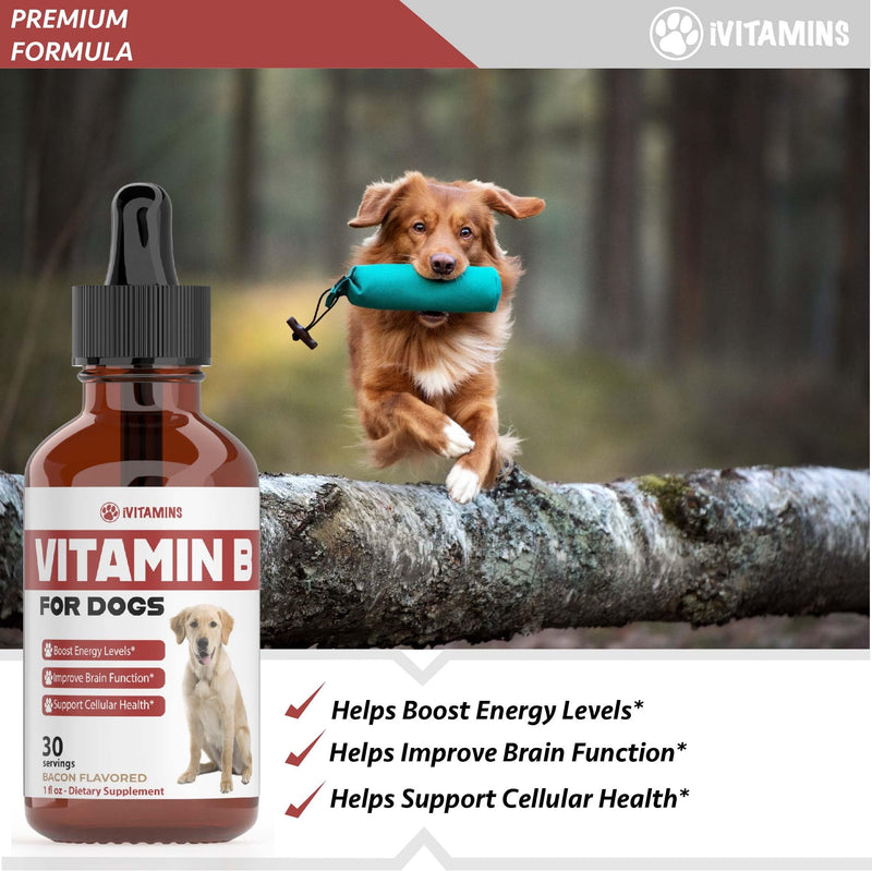 Vitamin B for Dogs | Vitamin B Complex for Dogs | Vitamin B12 for Dogs | Dog Vitamins | B12 Vitamins for Dogs | Vitamin B Dog Supplements | B Complex for Dogs | B12 for Dogs | Do1 fl oz: Bacon Flavor - PawsPlanet Australia