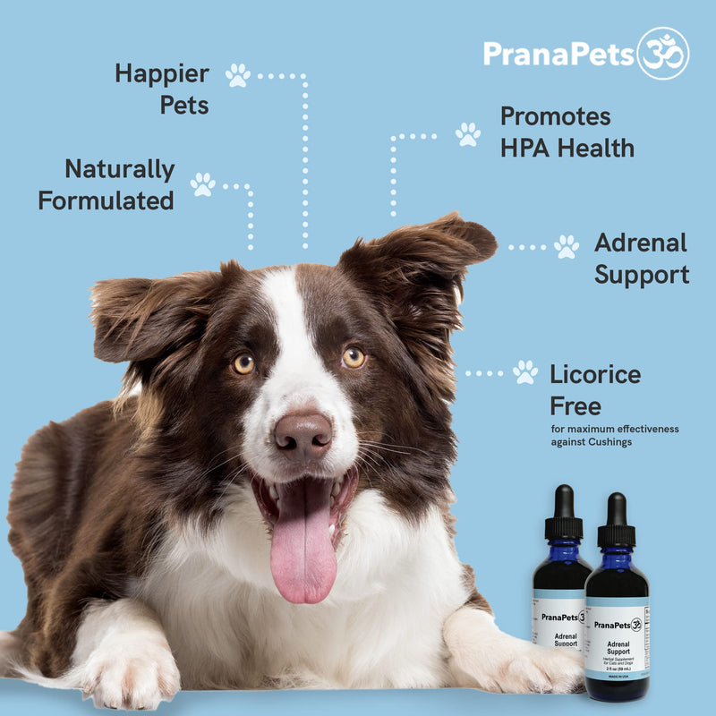 Prana Pets Adrenal Support Naturally Relieves Symptoms of Cushings Disease in Dogs | Licorice Free Herbal Formula Safely Promotes Healthy Adrenal Function and Overall Wellbeing 1 Pack - PawsPlanet Australia