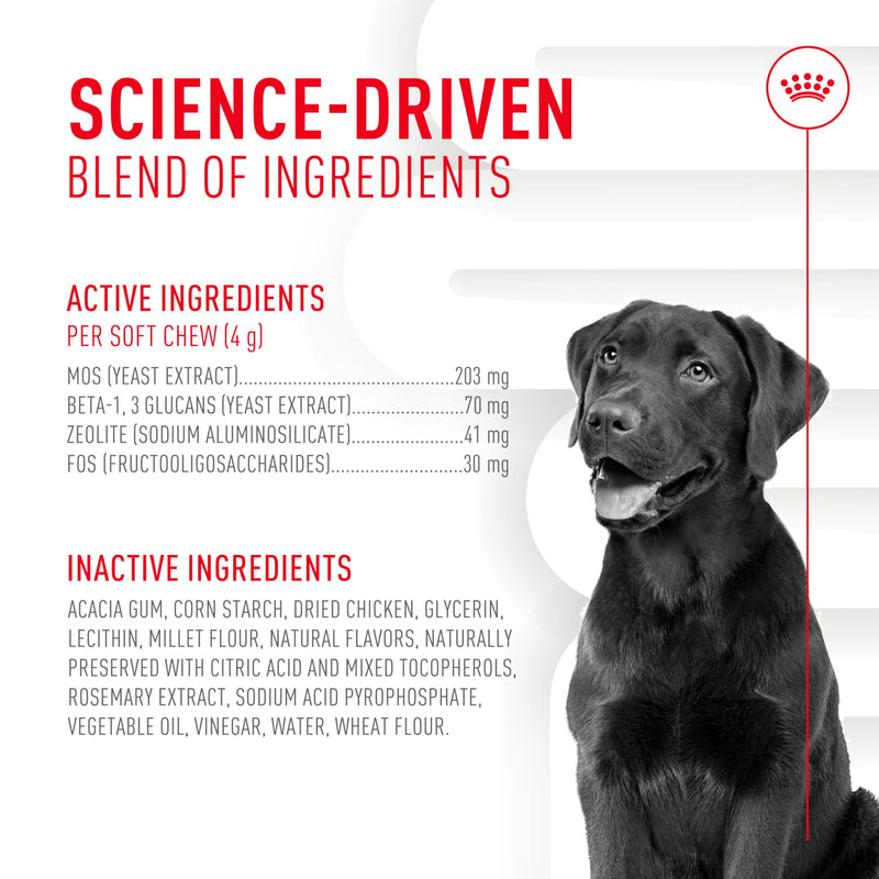 Royal Canin Digestive Dog Supplement Soft Chews for Adult Dogs, 60 Count Adult: Digestion 8.47 Oz