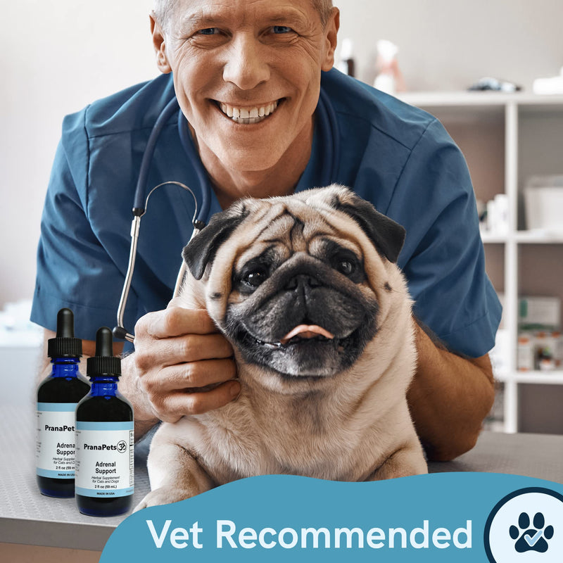 Prana Pets Adrenal Support Naturally Relieves Symptoms of Cushings Disease in Dogs | Licorice Free Herbal Formula Safely Promotes Healthy Adrenal Function and Overall Wellbeing 1 Pack - PawsPlanet Australia